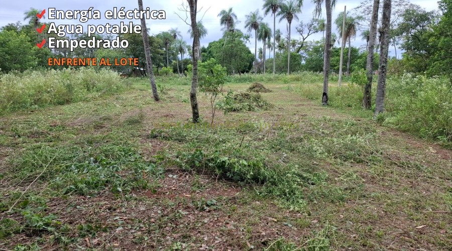 foto_Hermosos Lotes en Nueva Colombia