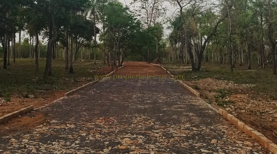 foto_Últimos hermosos lotes en Loma Grande