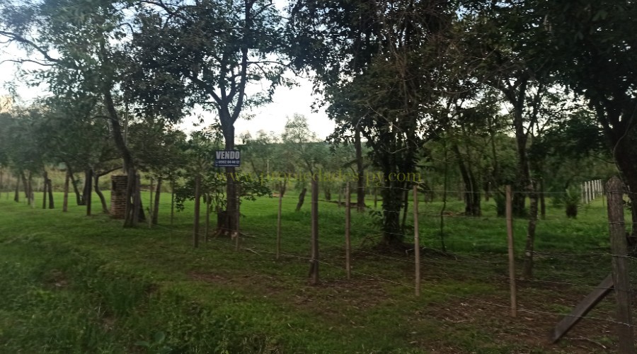 foto_3 terrenos juntos en Piribebuy a 5 minutos del Arroyo Yhaguy