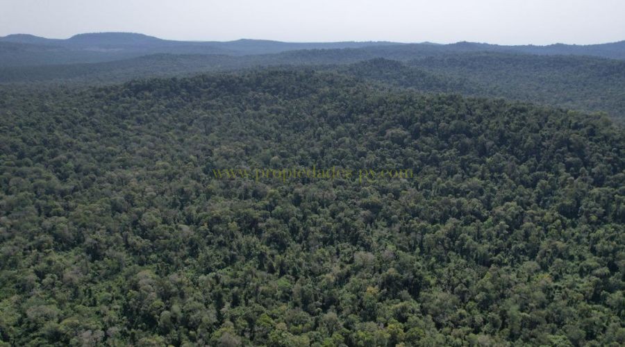 foto_511 Hectáreas con Arroyo y Alto Potencial Productivo en Colonia Puerto Victoria – Misiones (Argentina)