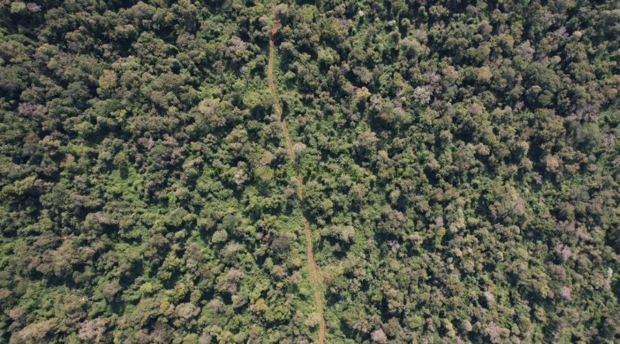 foto_511 Hectáreas con Arroyo y Alto Potencial Productivo en Colonia Puerto Victoria – Misiones (Argentina)