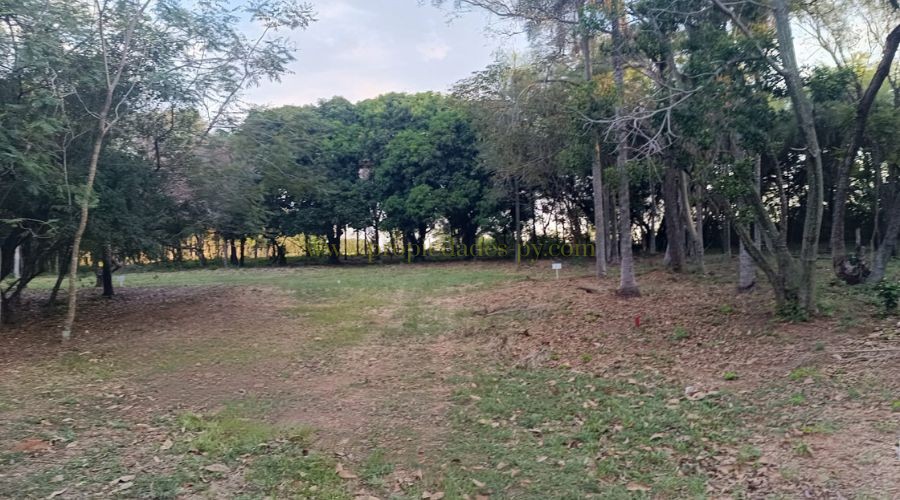 foto_Viví o invertí en un barrio cerrado exclusivo en Altos, rodeado de naturaleza 