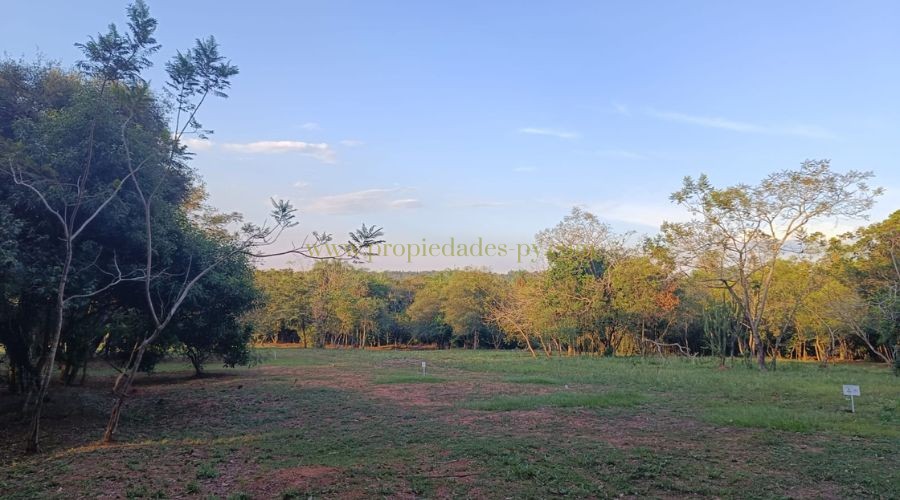 foto_Viví o invertí en un barrio cerrado exclusivo en Altos, rodeado de naturaleza 