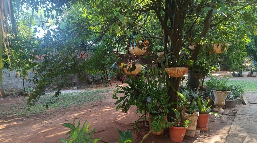 foto_Casa en venta en Luque Mora Kue sobre terreno de 1.400 m² amplia propiedad ideal para vivienda