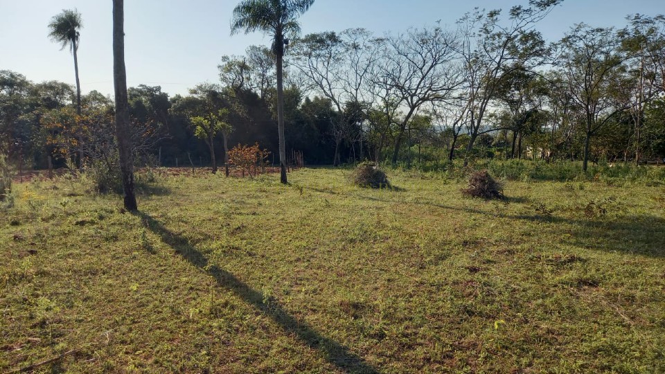 foto_Últimos Lotes en Altos