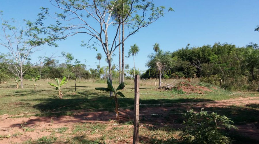 foto_Últimos Lotes en Altos